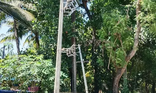 டிரான்ஸ்பார்மர் தேவை டிரான்ஸ்பார்மர் தேவை