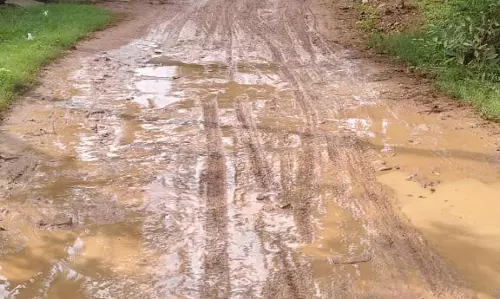 சேறும்,சகதியுமான சாலை