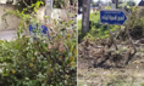 ‘தினத்தந்தி’க்கு பாராட்டு