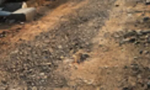 பாதியில் நிற்கும் பணி