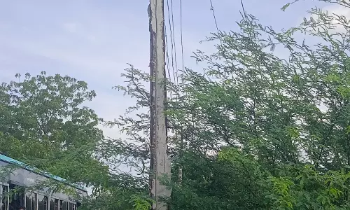 எலும்புக்கூடாக காட்சியளிக்கும் மின்கம்பம்