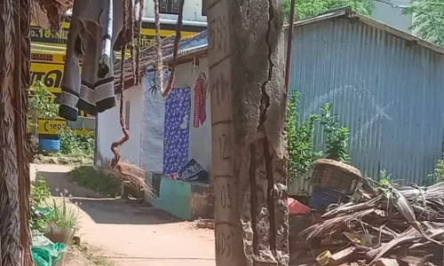 முறிந்து விழும் நிலையில் மின்கம்பம்