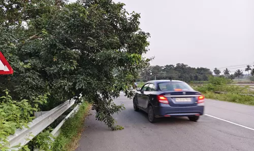 சாலையில் சாய்ந்த மரக்கிளைகளால் ஆபத்து