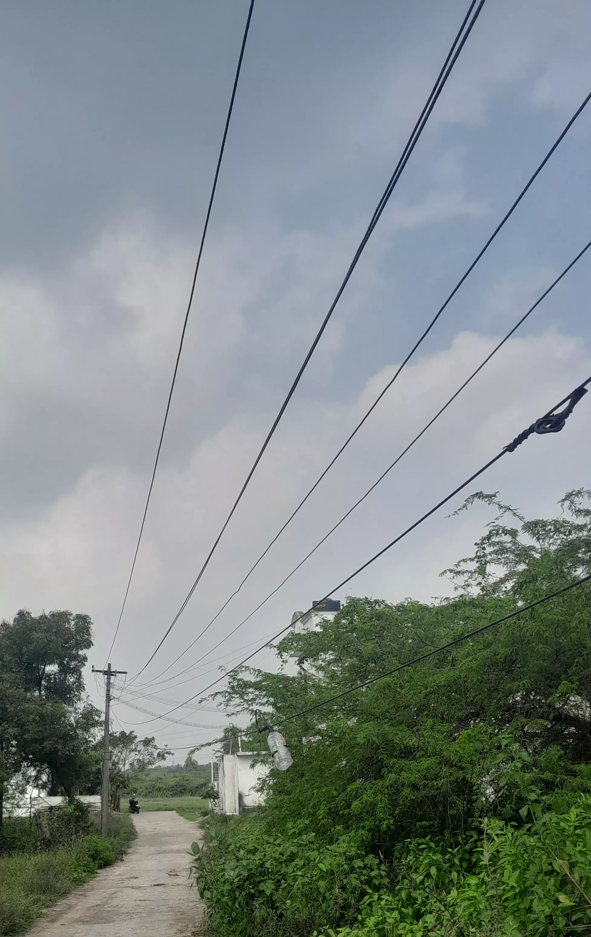 தாழ்வாக செல்லும் மின்கம்பிகள் தாழ்வாக செல்லும் மின்கம்பிகள்