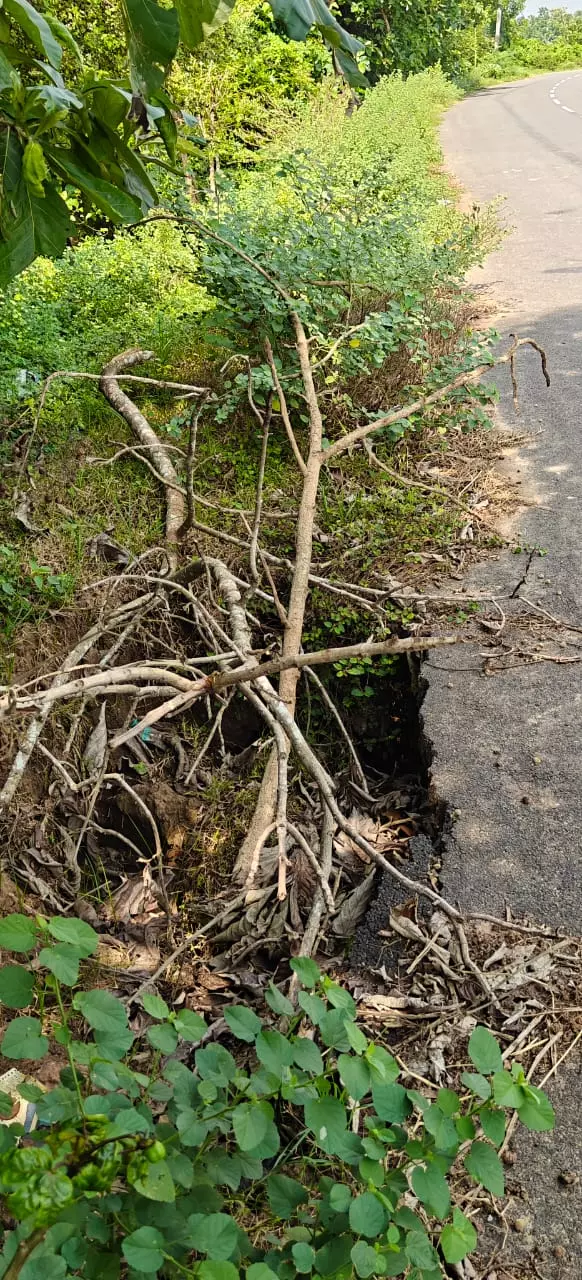 சாலையோரத்தில் ஆபத்தான பள்ளம் சாலையோரத்தில் ஆபத்தான பள்ளம்