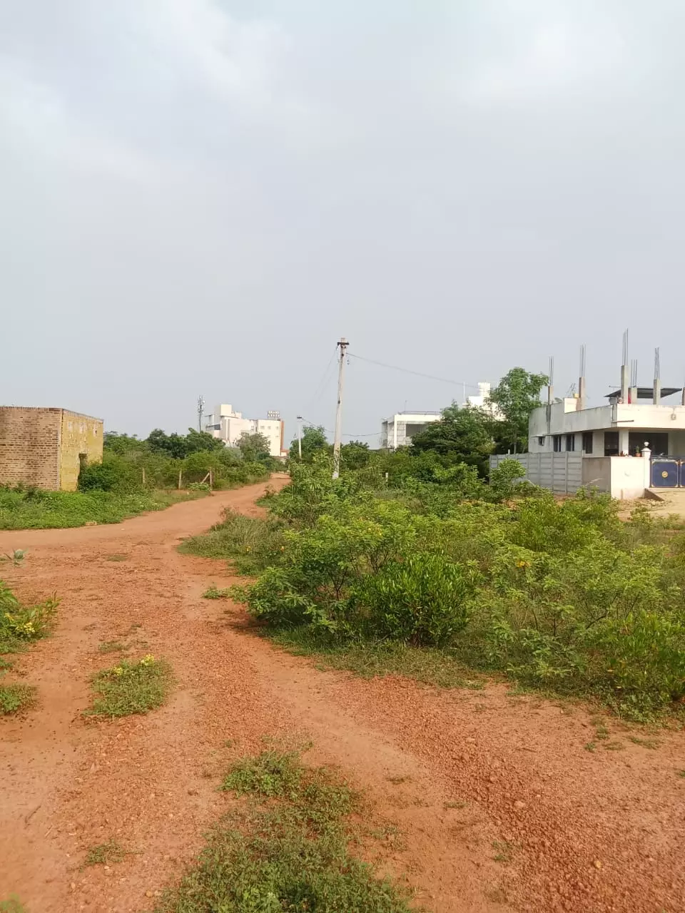 சாலை வசதி வேண்டும் சாலை வசதி வேண்டும்