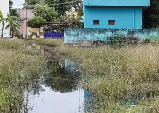 தேங்கிய மழைநீரை அகற்றுவார்களா? தேங்கிய மழைநீரை அகற்றுவார்களா?