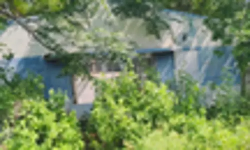 கழிப்பிடத்தை சுற்றி புதர் கழிப்பிடத்தை சுற்றி புதர்