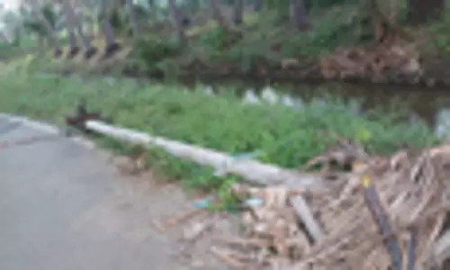 மின்கம்பம் மாற்றி அமைக்கப்படுமா? மின்கம்பம் மாற்றி அமைக்கப்படுமா?