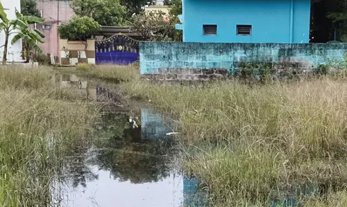 தேங்கிய மழைநீரை அகற்றுவார்களா?