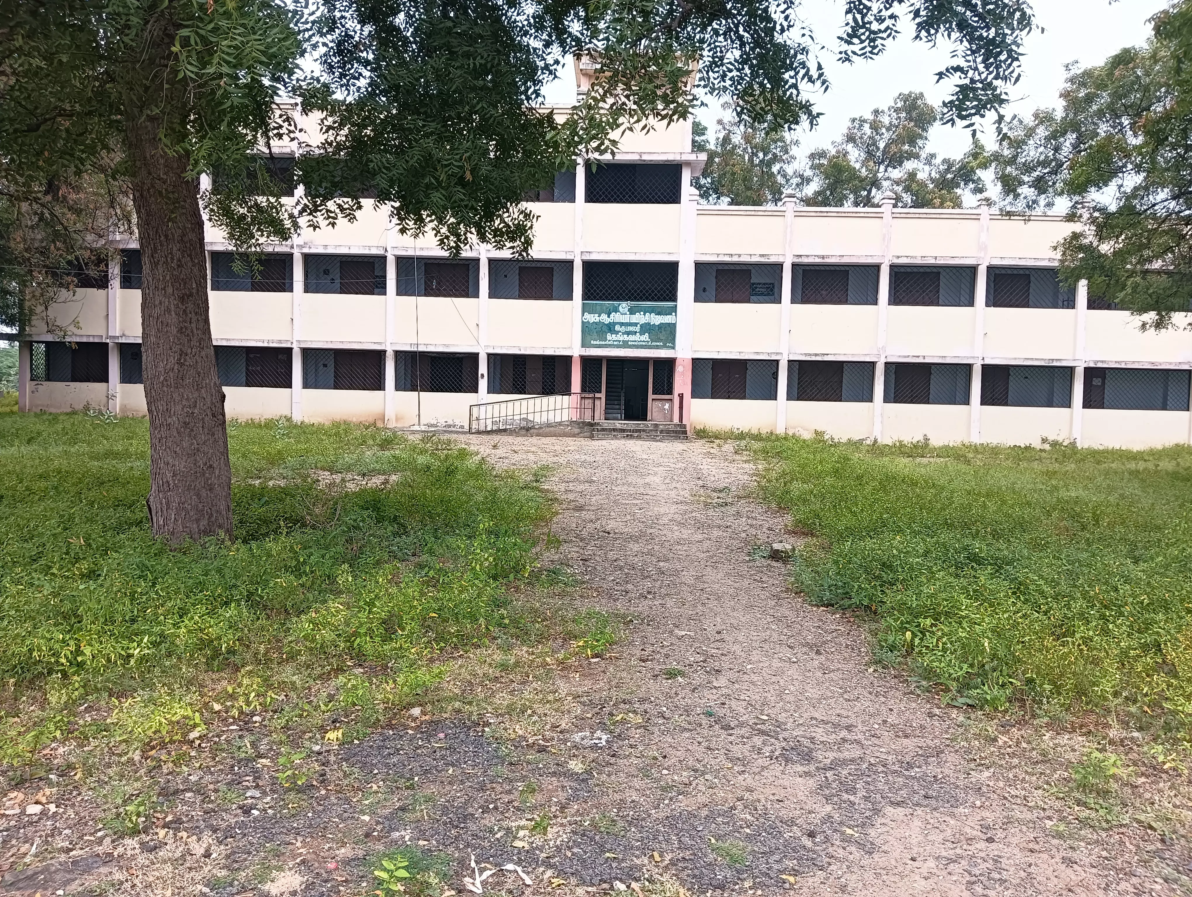 புதர்மண்டிய பயிற்சி நிறுவனம்