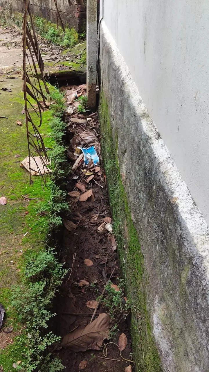 சீரமைக்க வேண்டும்