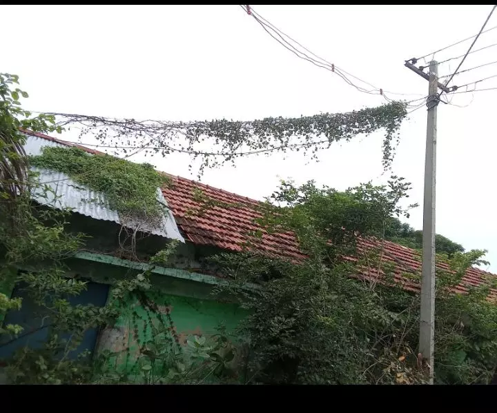 ‘தினத்தந்தி’ புகார் பெட்டிக்கு நன்றி