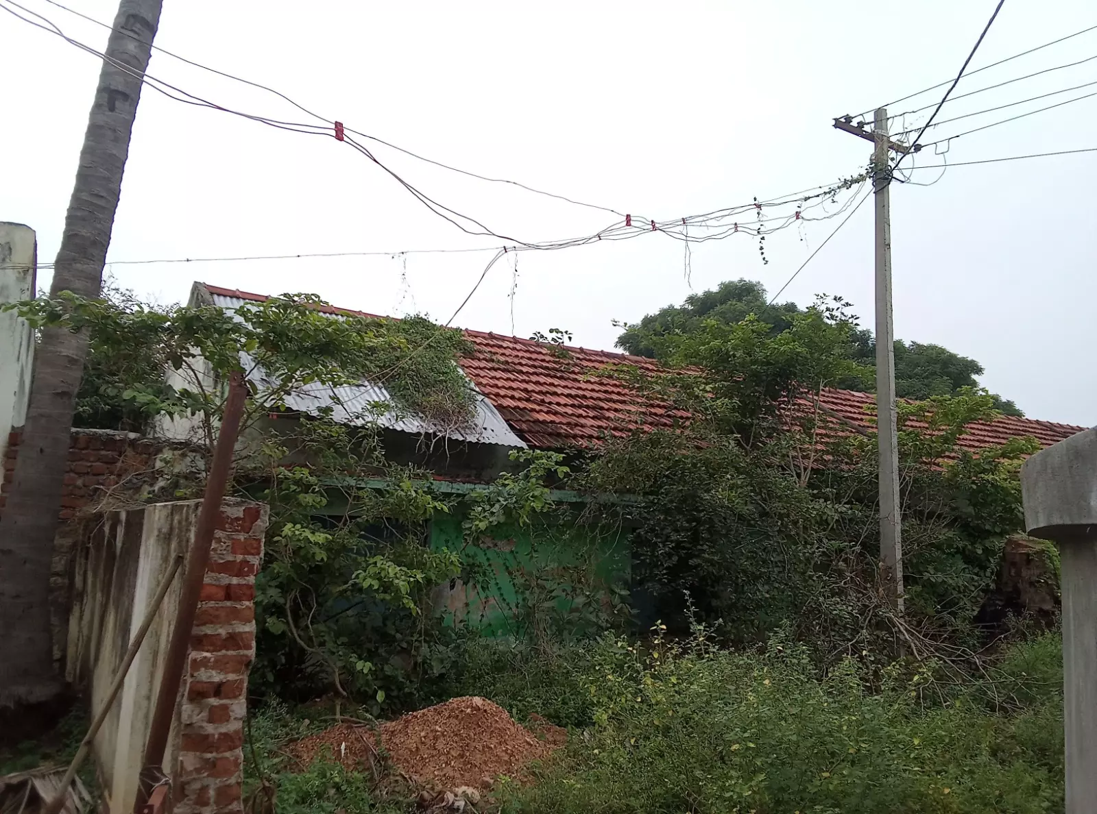 ‘தினத்தந்தி’ புகார் பெட்டிக்கு நன்றி