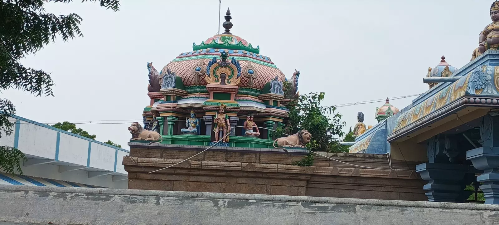 கோவில் கோபுரத்தில் வளரும் அரசமரம் கோவில் கோபுரத்தில் வளரும் அரசமரம்