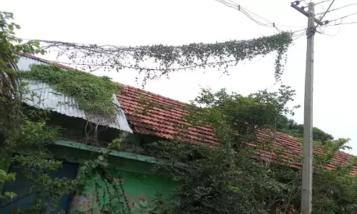 ‘தினத்தந்தி’ புகார் பெட்டிக்கு நன்றி