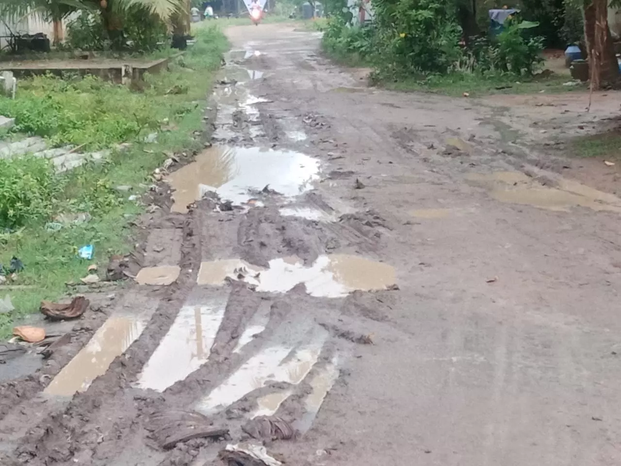 சேறும், சகதியுமான சாலை சேறும், சகதியுமான சாலை