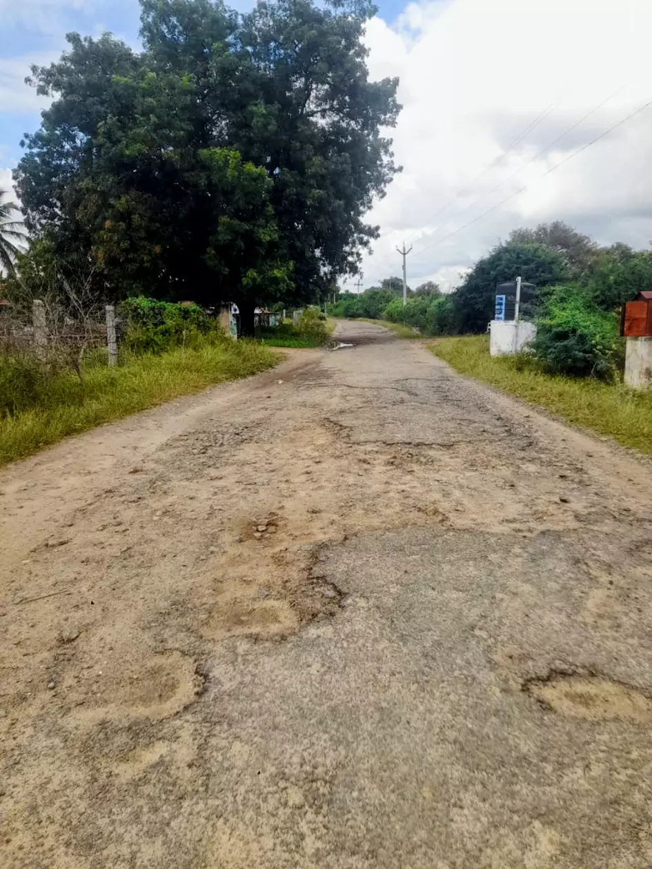 குண்டும் குழியுமான சாலை குண்டும் குழியுமான சாலை