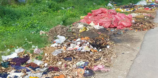 சாலையோரம் கொட்டப்படும் காய்கறி கழிவுகள்