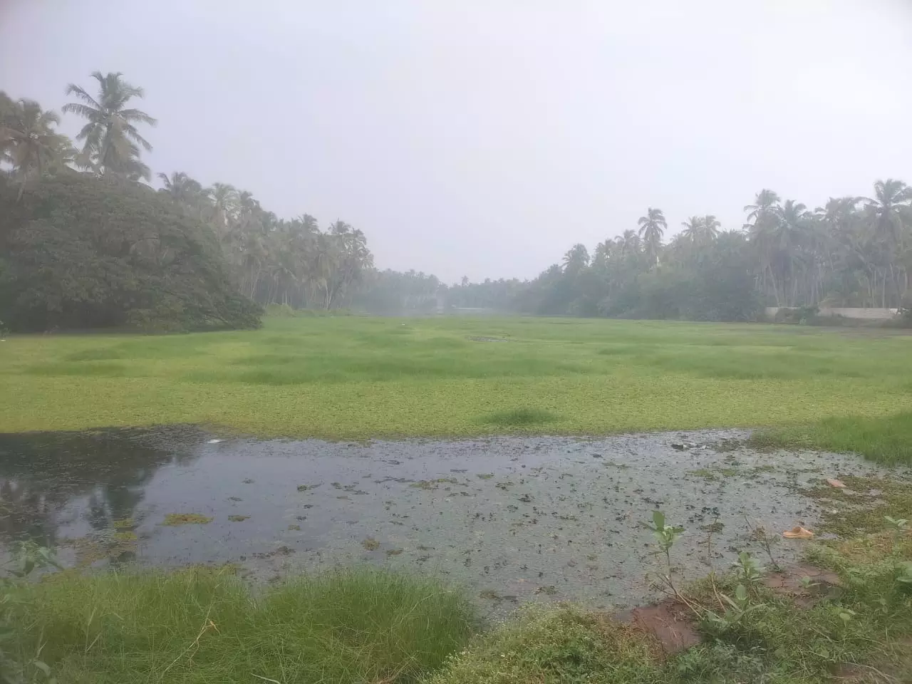 தூர்வார வேண்டும் தூர்வார வேண்டும்