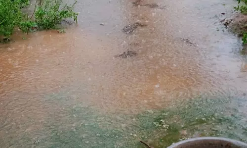 தேங்கி நிற்கும் மழை நீர்