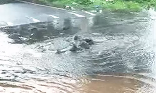 சுகாதாரக்கேடு