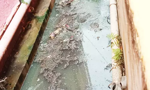 சுகாதாரக்கேடு