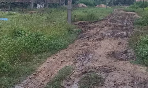 தார் சாலையாக மாற்றுவார்களா?