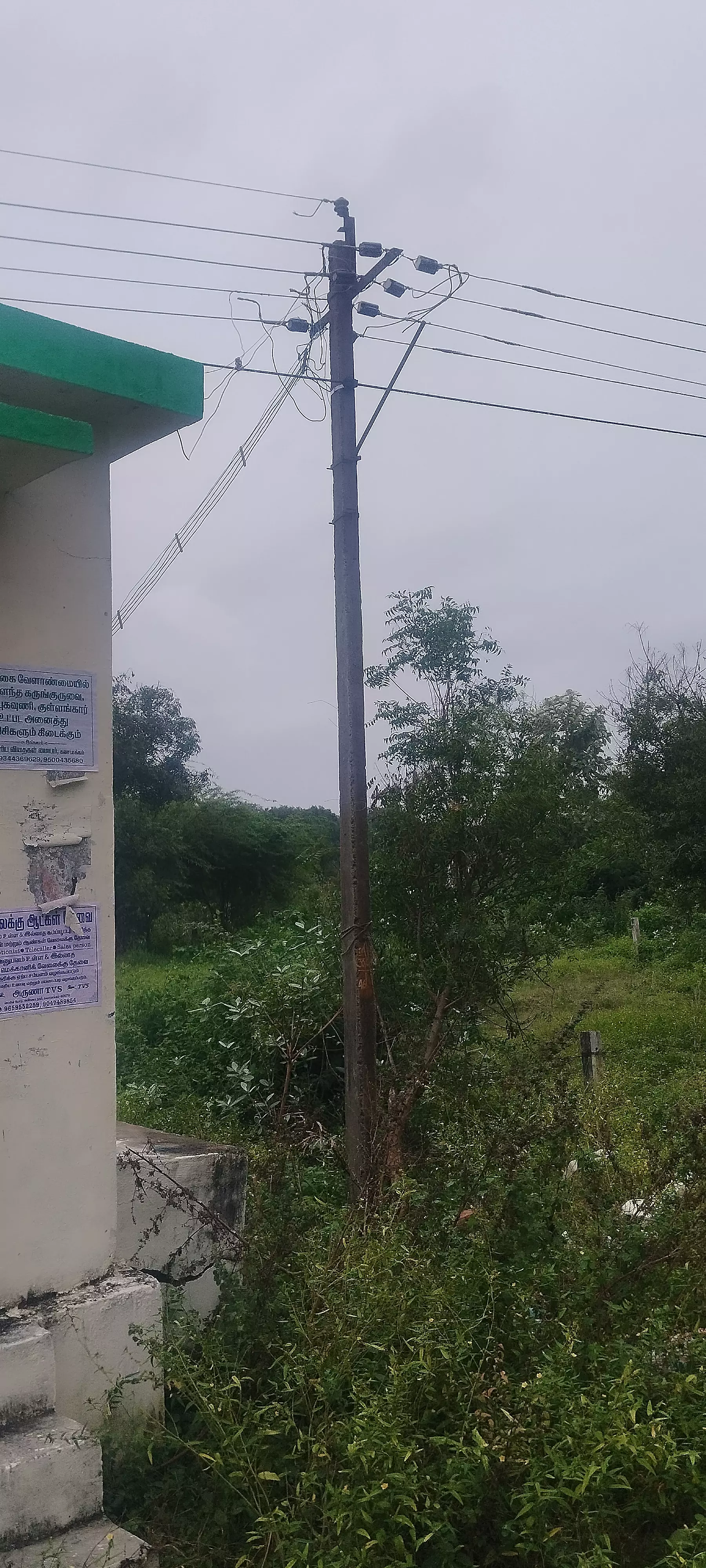 மின் விளக்கு வசதி தேவை