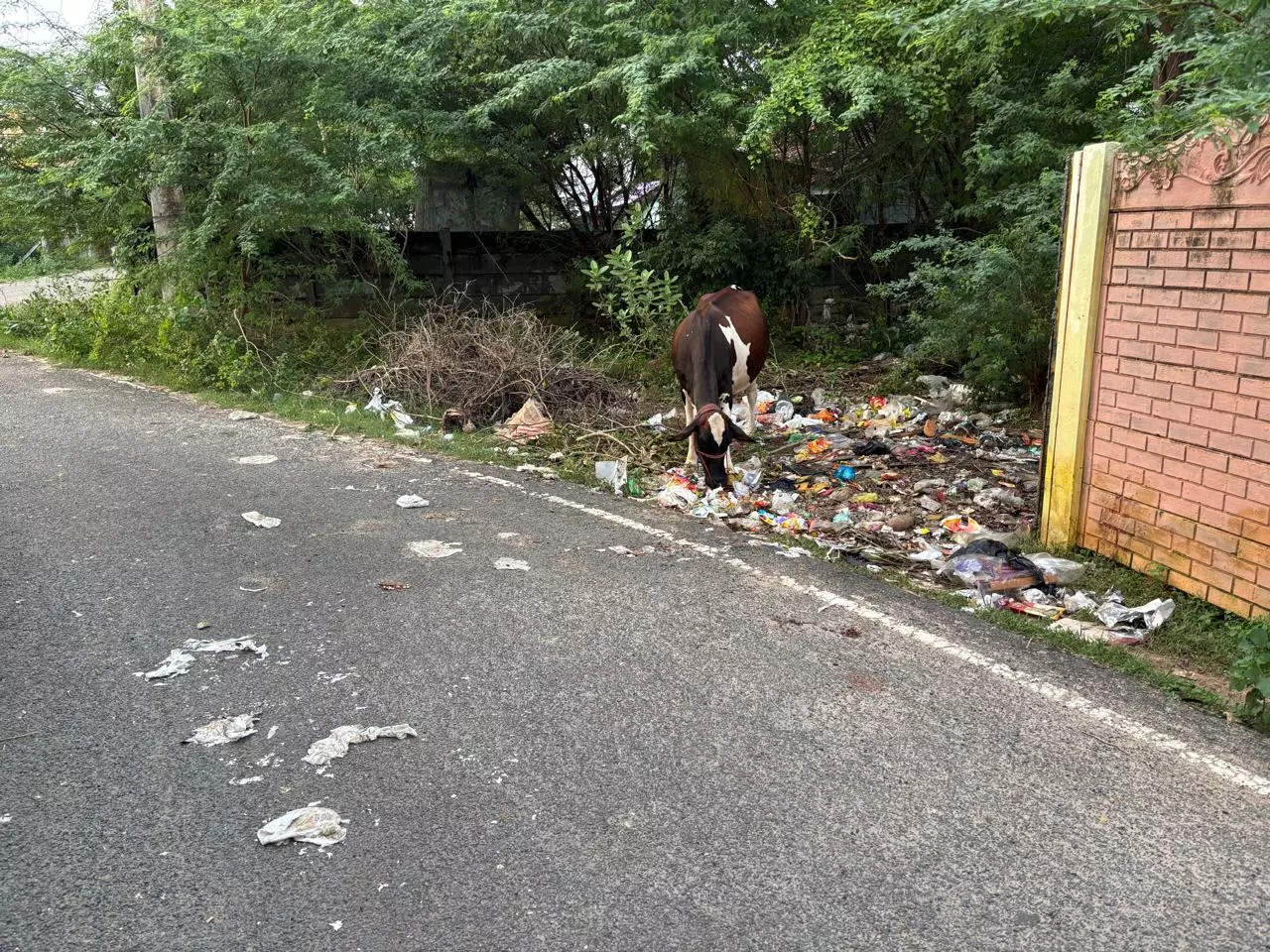 சுகாதார சீர்கேடு