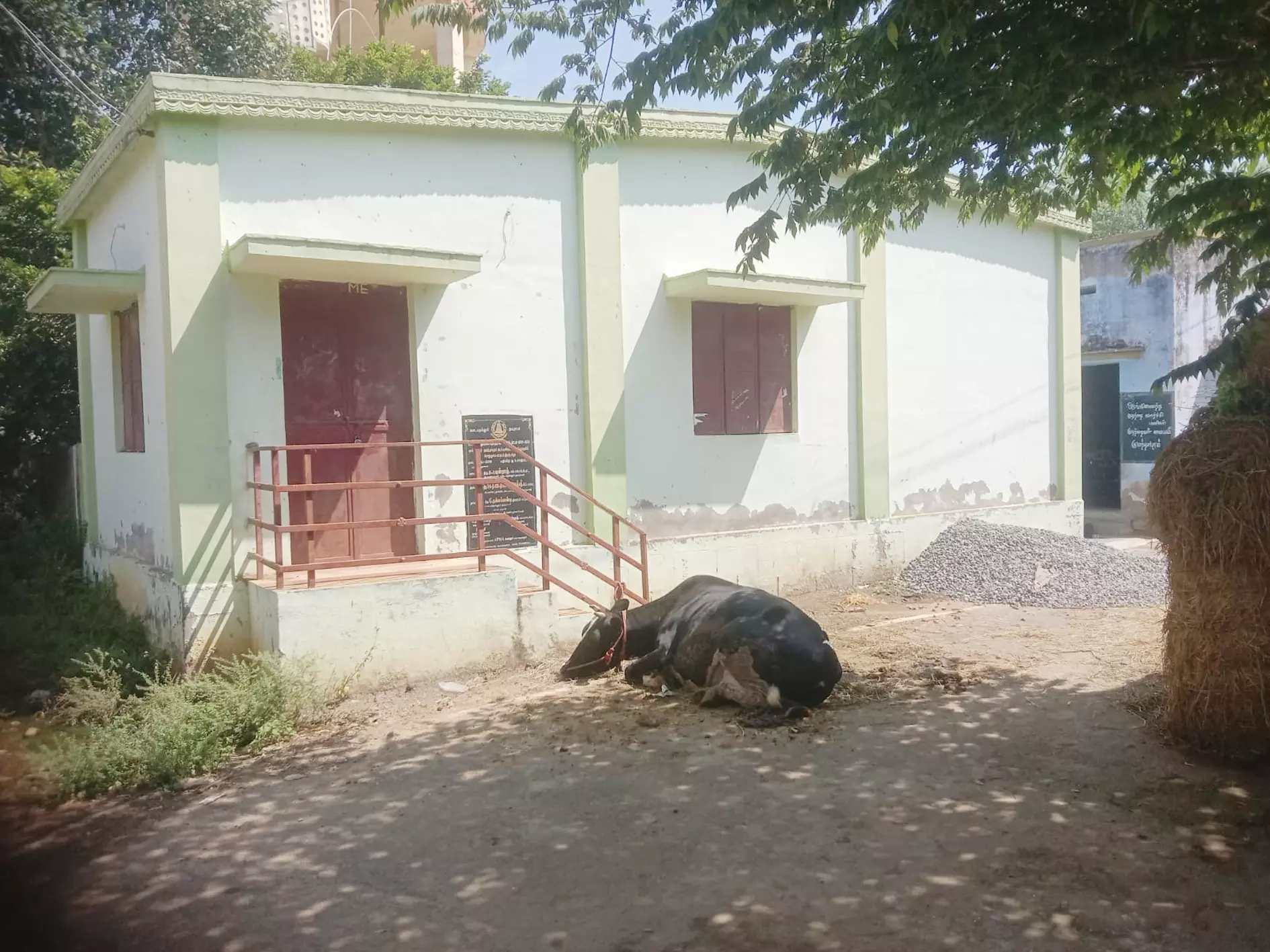 காட்சிப்பொருளான நூலகம்