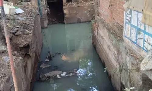 பொதுமக்கள் அச்சம்