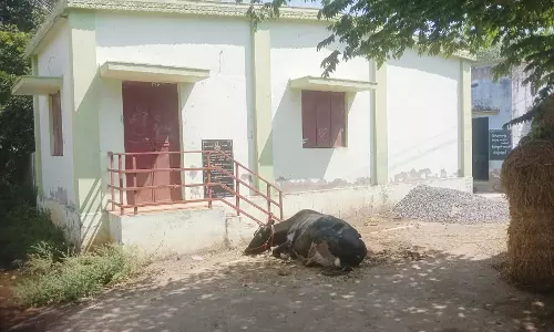 காட்சிப்பொருளான நூலகம் காட்சிப்பொருளான நூலகம்