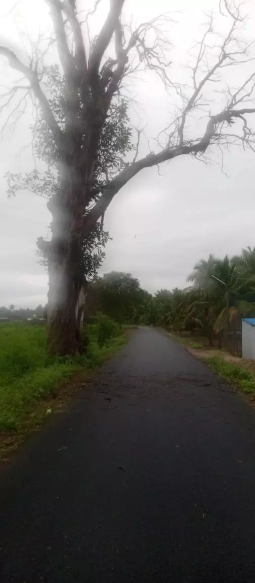 விபத்து ஏற்படும் அபாயம் விபத்து ஏற்படும் அபாயம்