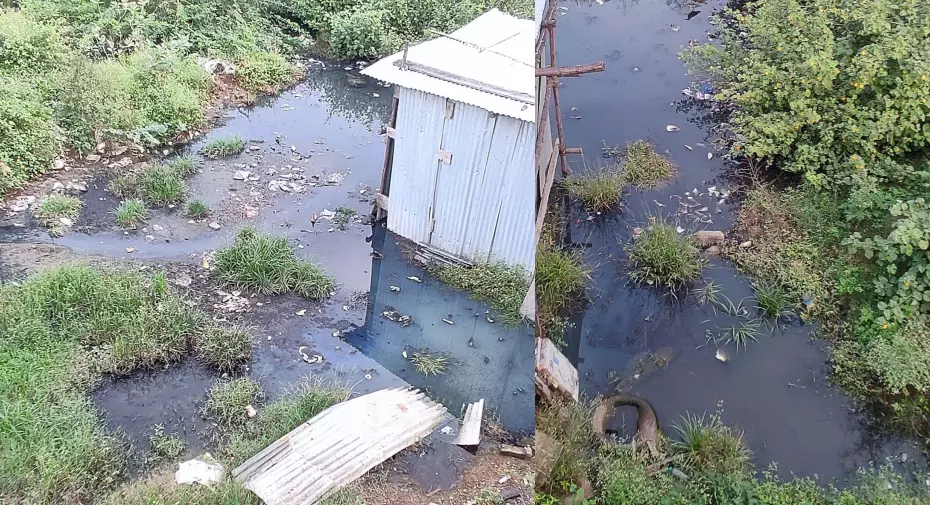 நோய் பரவும் அபாயம் நோய் பரவும் அபாயம்