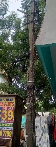 எலும்புகூடான மின்கம்பம்