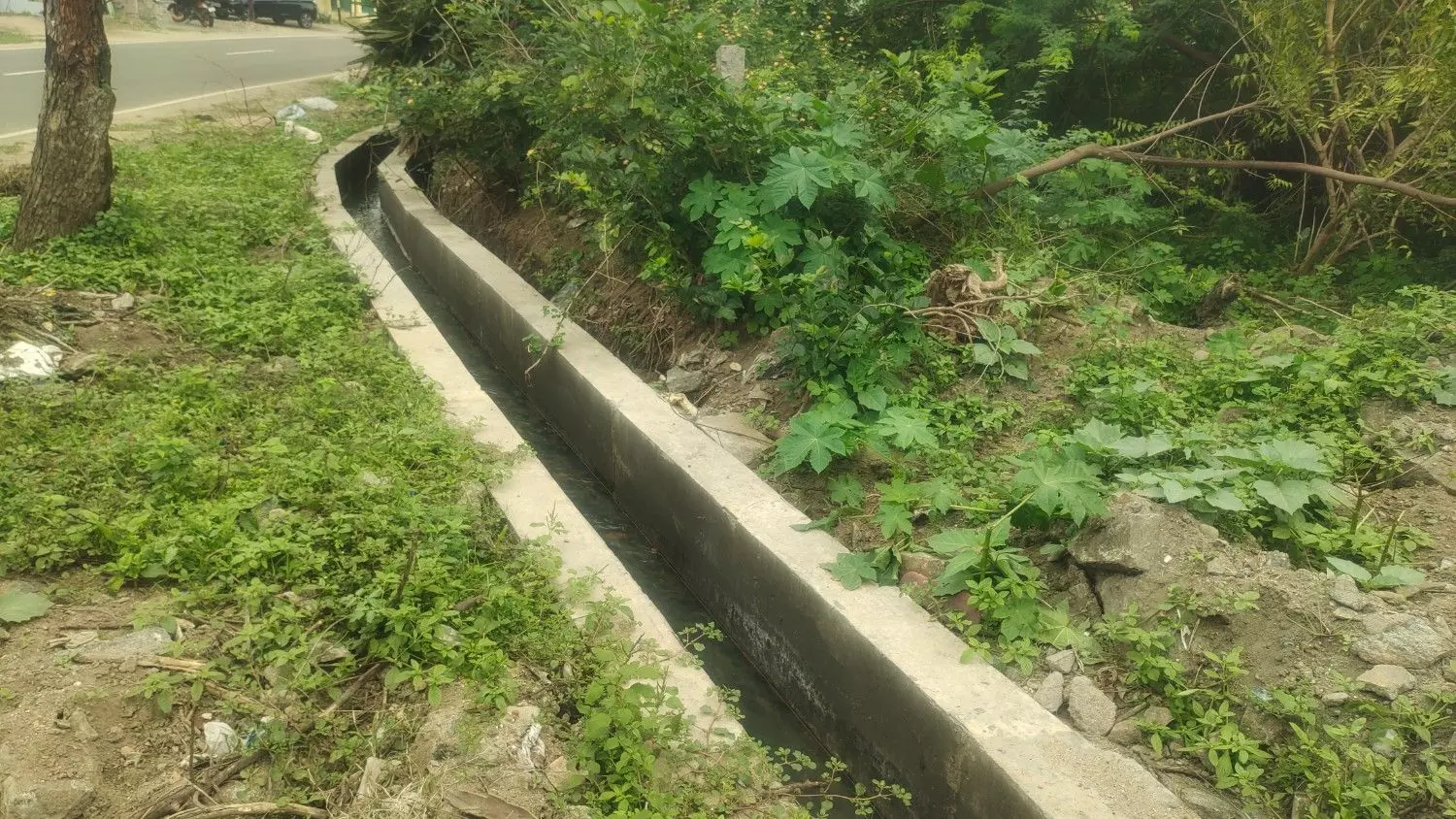 ‘தினத்தந்தி’ புகார் பெட்டிக்கு நன்றி ‘தினத்தந்தி’ புகார் பெட்டிக்கு நன்றி