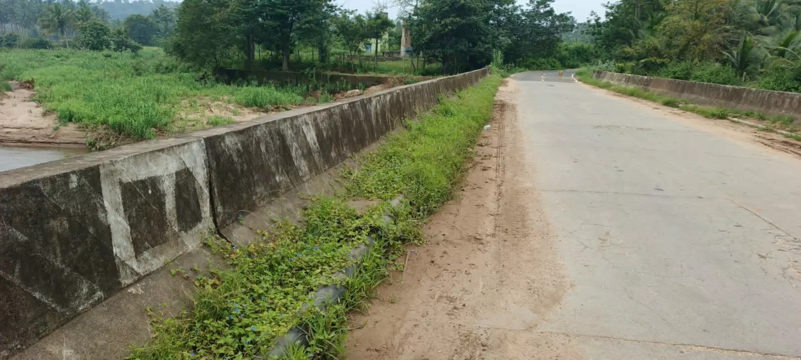 பாலத்தை ஆக்கிரமிக்கும் செடி-கொடிகள் பாலத்தை ஆக்கிரமிக்கும் செடி-கொடிகள்