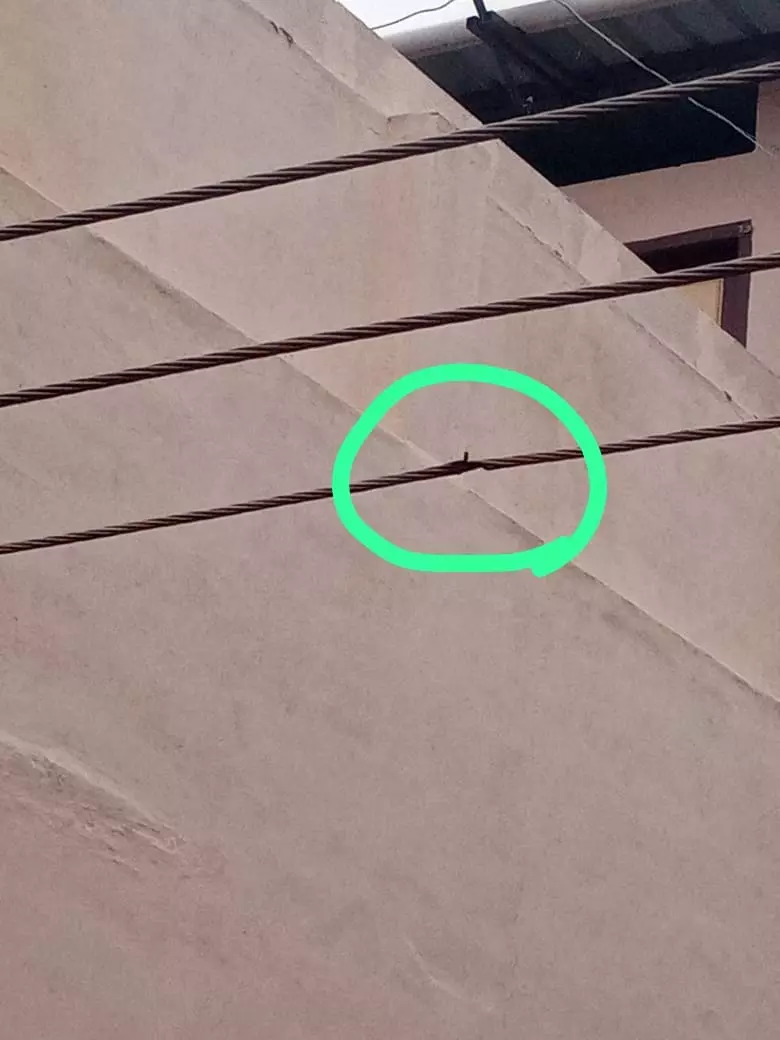 ஆபத்தான மின்கம்பி ஆபத்தான மின்கம்பி