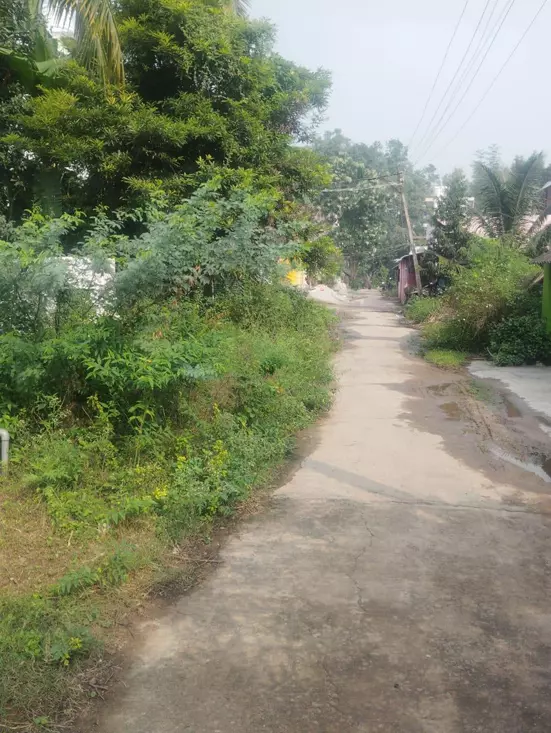 சாலை சீரமைக்கப்படுமா? சாலை சீரமைக்கப்படுமா?