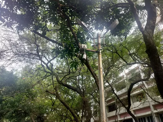 கண்காணிப்பு கேமராக்களை சரி செய்வார்களா? கண்காணிப்பு கேமராக்களை சரி செய்வார்களா?