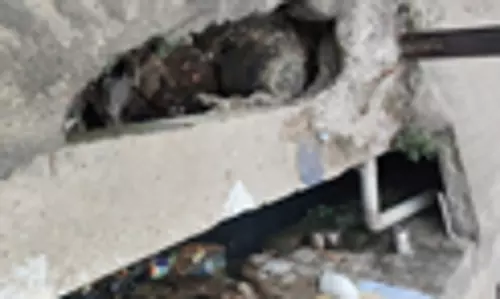 ஆபத்தான பள்ளம் ஆபத்தான பள்ளம்