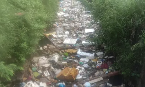 சுகாதார சீர்கேடு