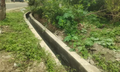 ‘தினத்தந்தி’ புகார் பெட்டிக்கு நன்றி