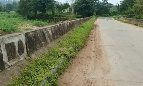 பாலத்தை ஆக்கிரமிக்கும் செடி-கொடிகள் பாலத்தை ஆக்கிரமிக்கும் செடி-கொடிகள்