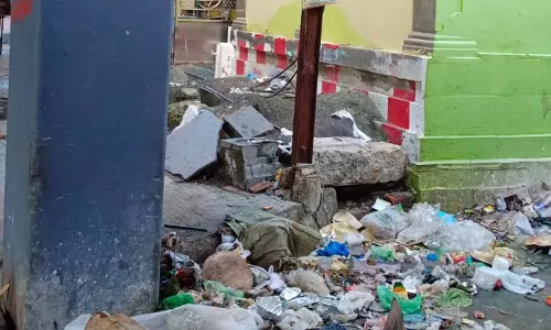 சுகாதாரக்கேடு சுகாதாரக்கேடு