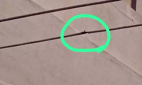 ஆபத்தான மின்கம்பி ஆபத்தான மின்கம்பி