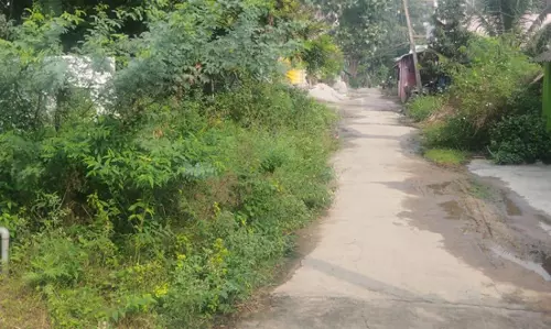 சாலை சீரமைக்கப்படுமா? சாலை சீரமைக்கப்படுமா?