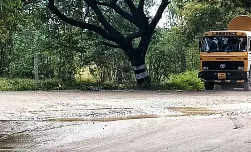 சாலை பள்ளம் சீரமைக்கப்படுமா? சாலை பள்ளம் சீரமைக்கப்படுமா?