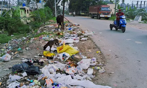 குப்பைகளால் வாகன ஓட்டிகளுக்கு இடையூறு குப்பைகளால் வாகன ஓட்டிகளுக்கு இடையூறு